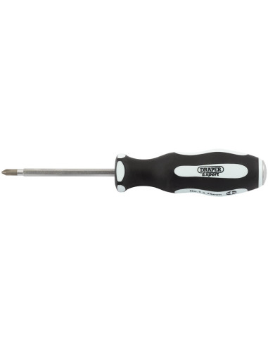 DRAPER Cross Slot Screwdriver 2x100mm