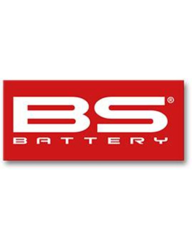 BS BATTERY Small Sticker - 50 pcs
