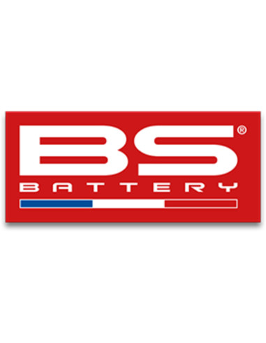 BS BATTERY Small Sticker French Flag - 50 pcs