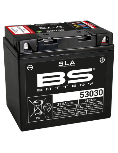 BS BATTERY SLA Battery Maintenance Free Factory Activated - 53030