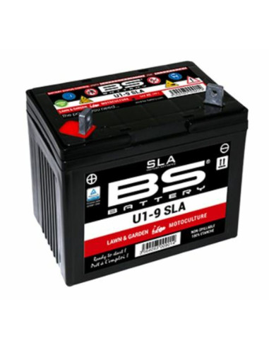 BS BATTERY SLA Battery Maintenance Free Factory Activated - U1-9