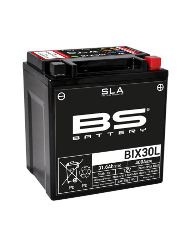 BS BATTERY SLA Battery Maintenance Free Factory Activated - BIX30L