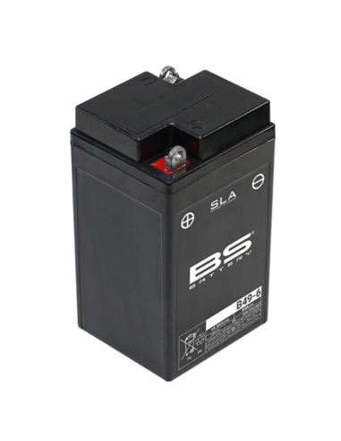 BS BATTERY SLA Battery Maintenance Free Factory Activated - B49-6