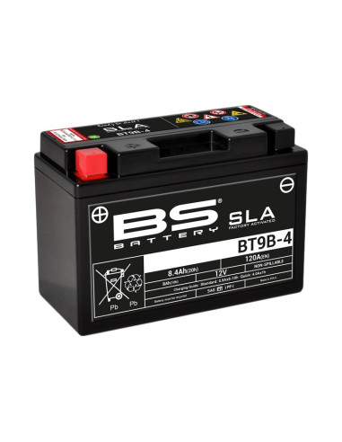 BS BATTERY SLA Battery Maintenance Free Factory Activated - BT9B-4