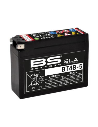 BS BATTERY SLA Battery Maintenance Free Factory Activated - BT4B-5