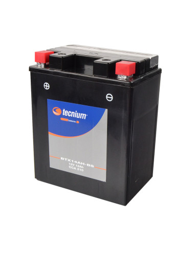 Batterie TECNIUM Sans entretien avec pack acide - BTX14AH-BS