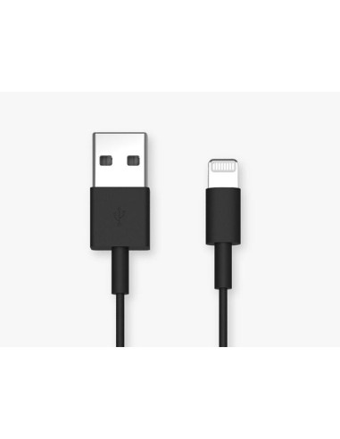 Câble USB vers Lightning QUAD LOCK - 20 cm