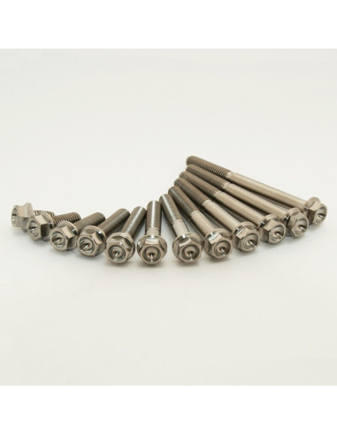 SCAR Engine Screw Kit Titanium 47 Screws - Kawasaki KX450