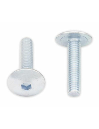 Vis tête bombée plate BOLT M6x1x25mm 10 pièces