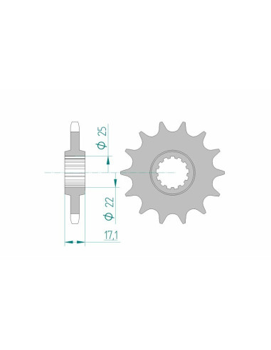 Pignon AFAM acier standard 20405 - 525