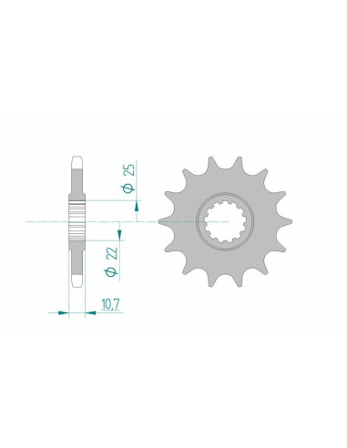 Pignon AFAM acier standard 21606 - 525