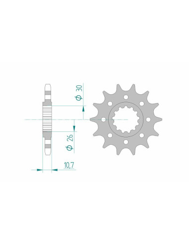 Pignon AFAM acier standard 21805 - 525