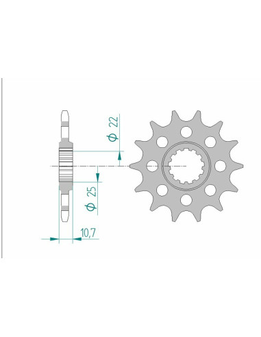 Pignon AFAM acier standard 21511 - 520