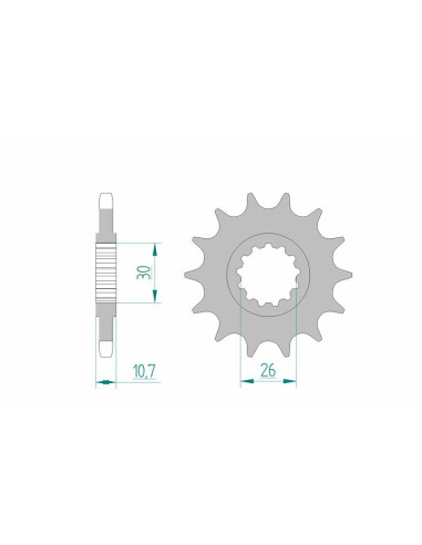 Pignon AFAM acier standard 21607 - 525