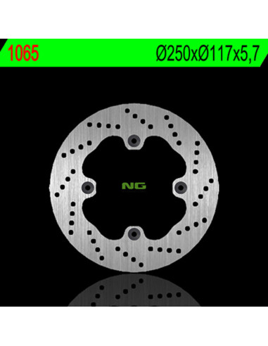 NG BRAKES Fix Brake Disc - 1065