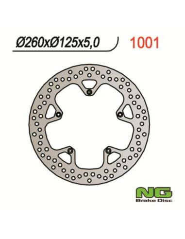 NG BRAKES Fix Brake Disc - 1001