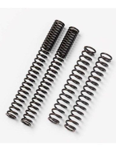 BITUBO FORK SPRING FOR R80-R100 R80GS 87, R100RS, RT 87