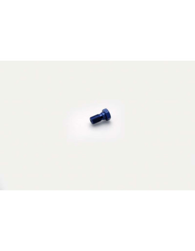 SINGLE SCREW M10X 1.00 BLUE